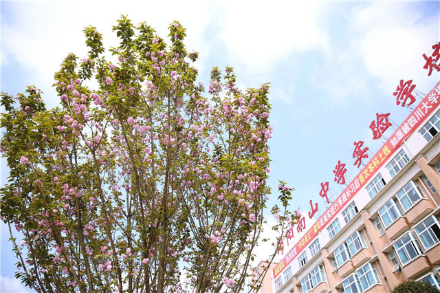 1605677391282607.jpg 7.jpg