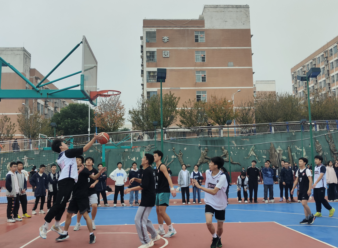 1731553476105054.png 2004dadd-ab62-449a-8f23-bbe4a3d57d38.png