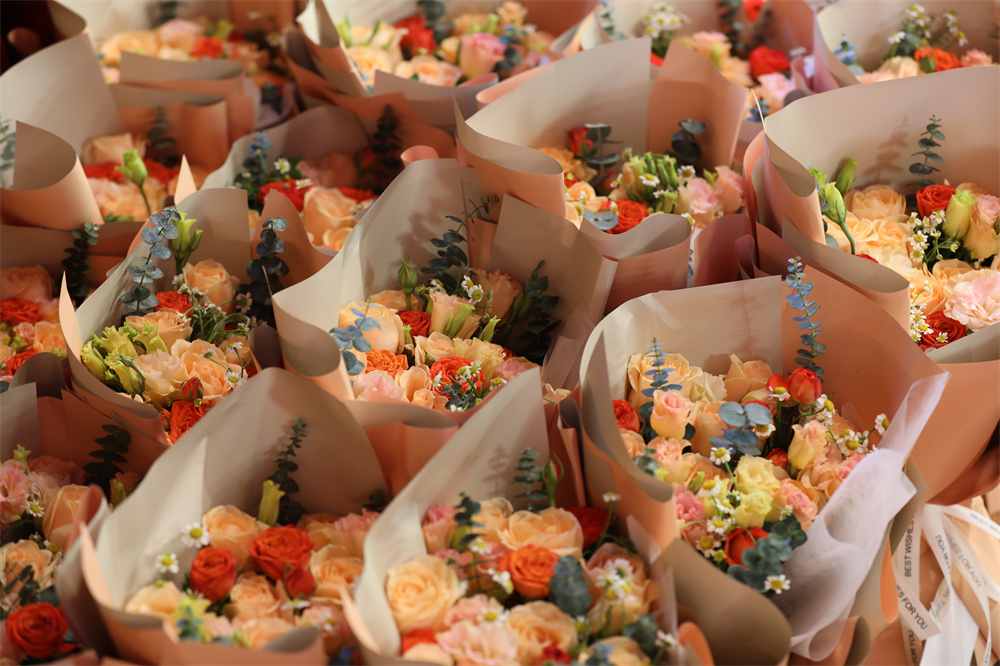 1741677154236770.jpg 8J7A6590.JPG